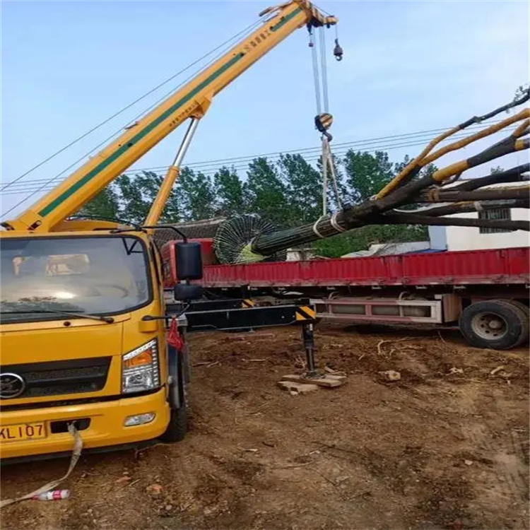 汉川100吨吊车租赁费用怎么算？3大关键因素+省钱技巧全解析